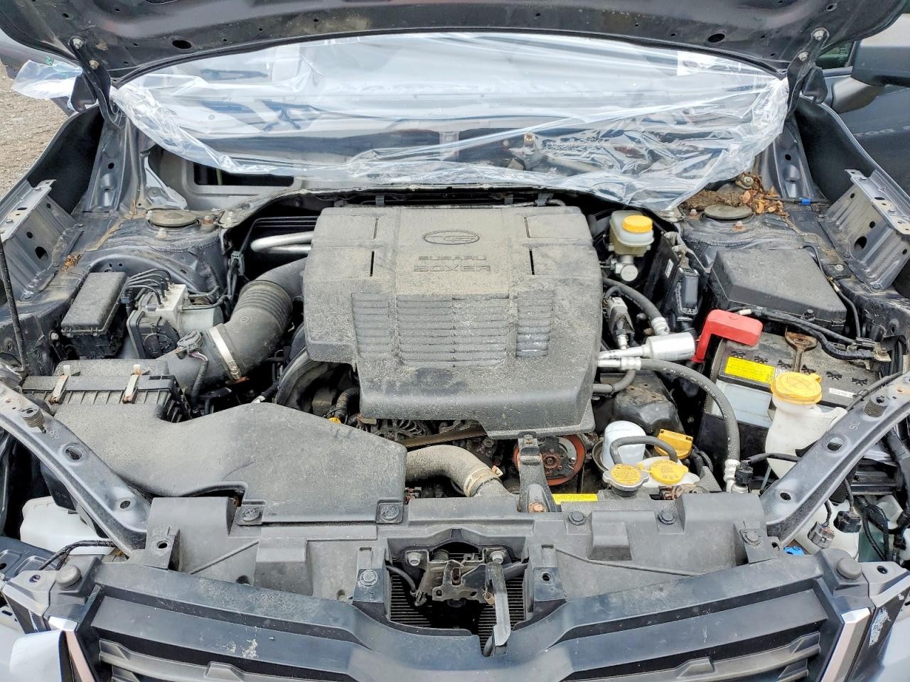 Vehicle/144176_11.jpg