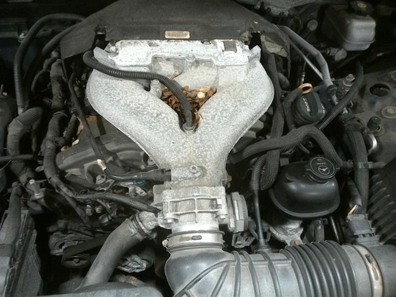 https://f005.backblazeb2.com/file/img-partshotlines-com/Inventory/NE280/Vehicle/33643_07.jpg