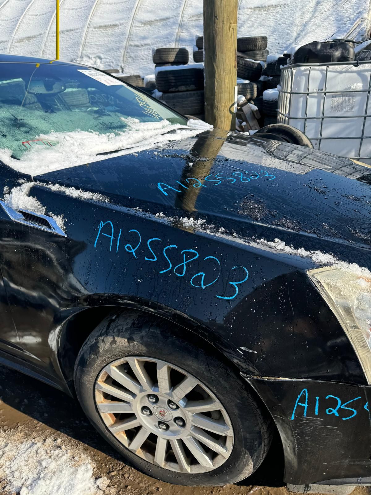 https://f005.backblazeb2.com/file/img-partshotlines-com/Inventory/NE288/2025/A1255823/7ED6ECE9D4FA43F5A90370AF60B4C81E005.jpg