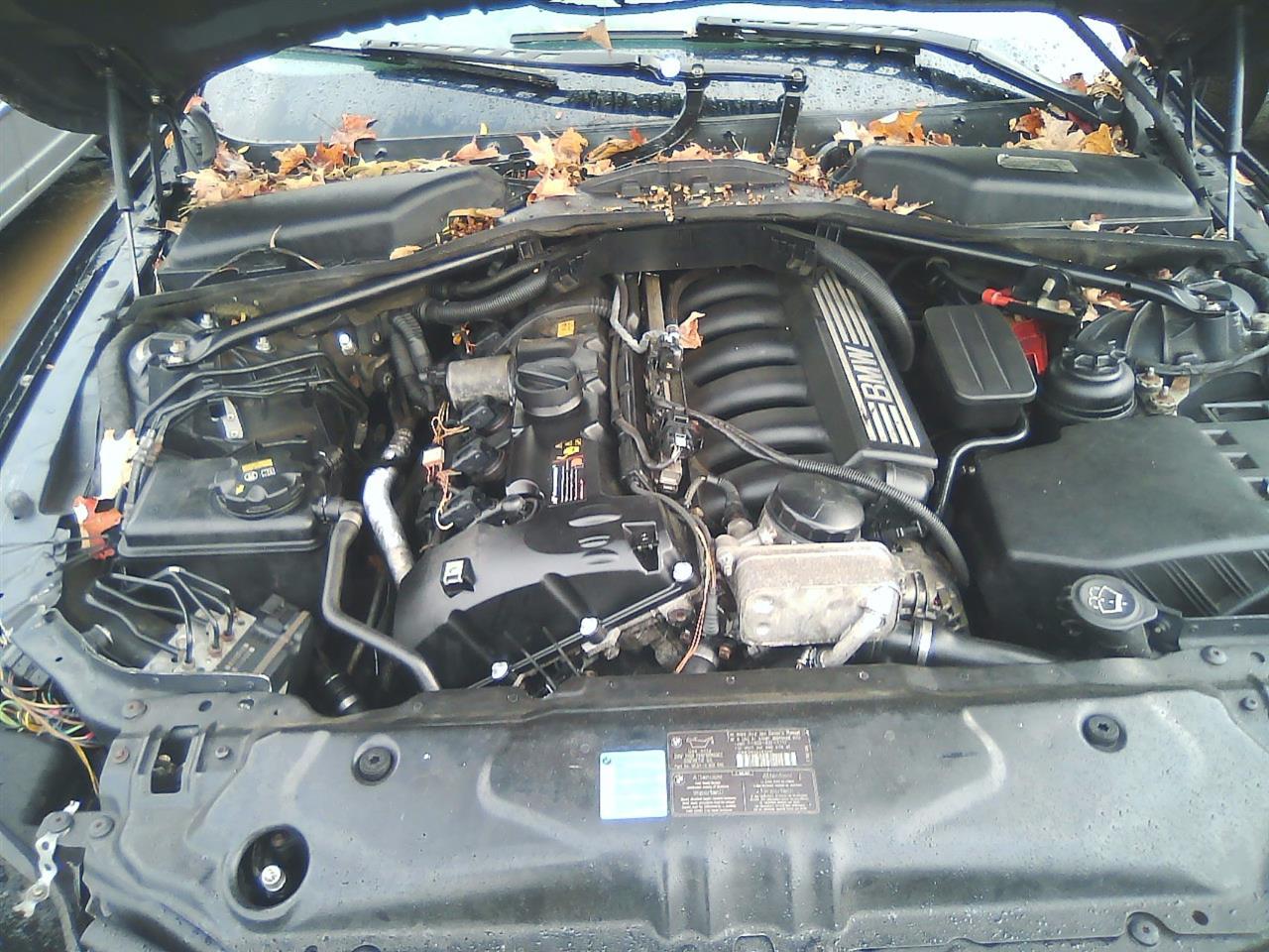 https://f005.backblazeb2.com/file/img-partshotlines-com/Inventory/NE290/Vehicle/23234_01.jpg