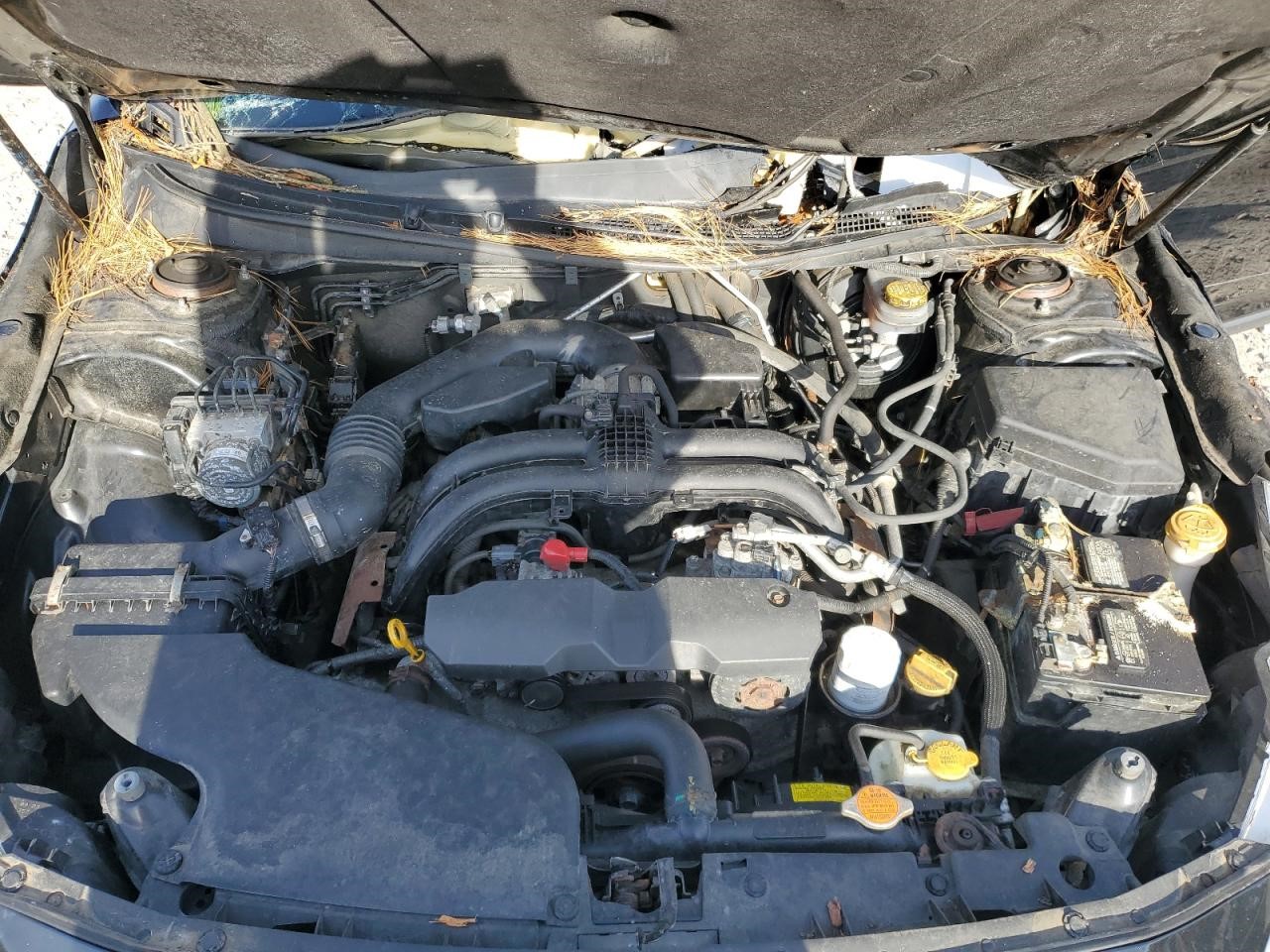 https://f005.backblazeb2.com/file/img-partshotlines-com/Inventory/NE41/Vehicle/120600_11.jpg