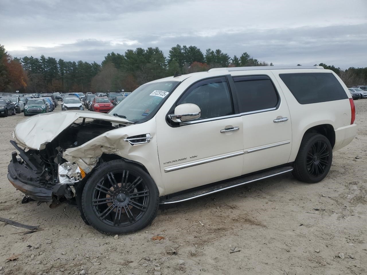 https://f005.backblazeb2.com/file/img-partshotlines-com/Inventory/NE41/Vehicle/120710_01.jpg