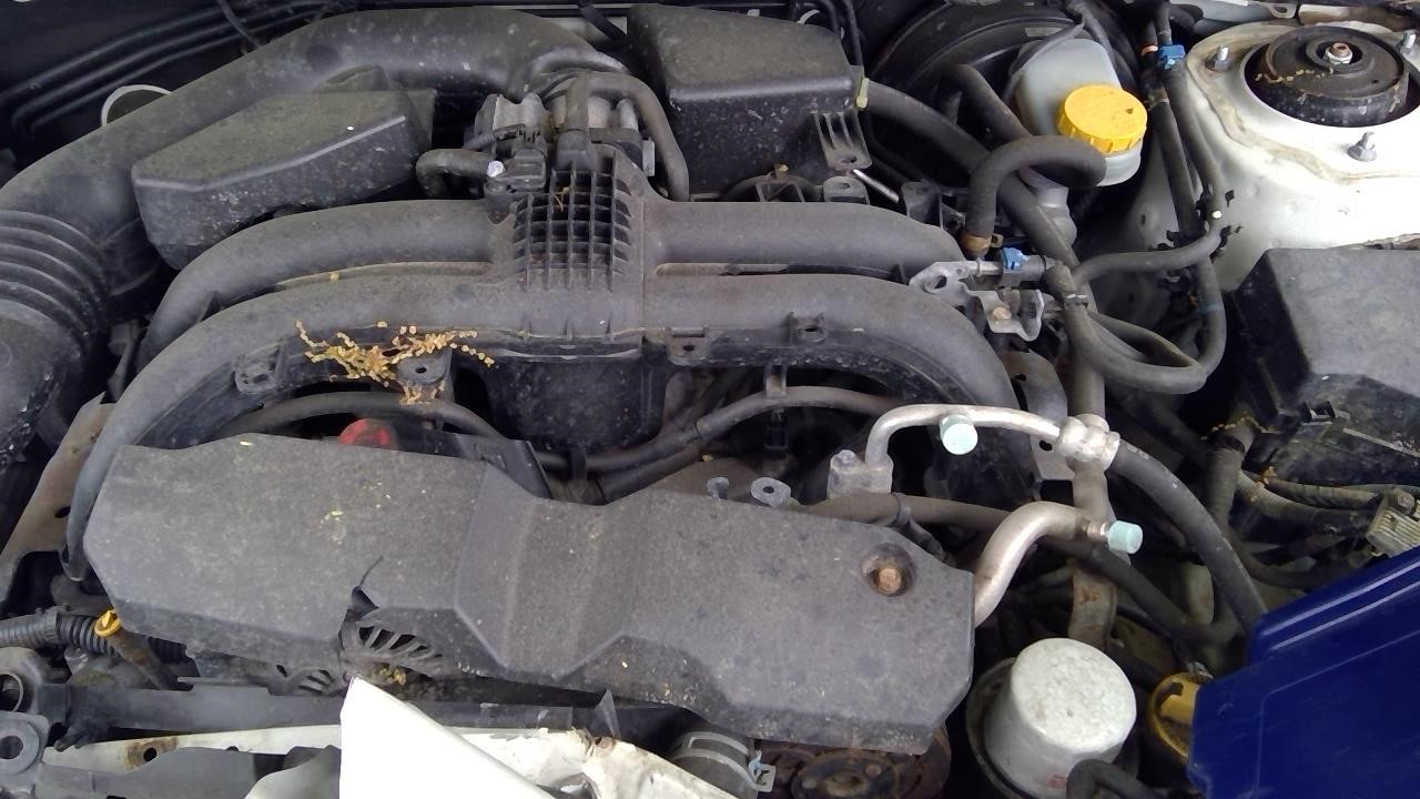 https://f005.backblazeb2.com/file/img-partshotlines-com/Inventory/NE41/Vehicle/122294_03.jpg