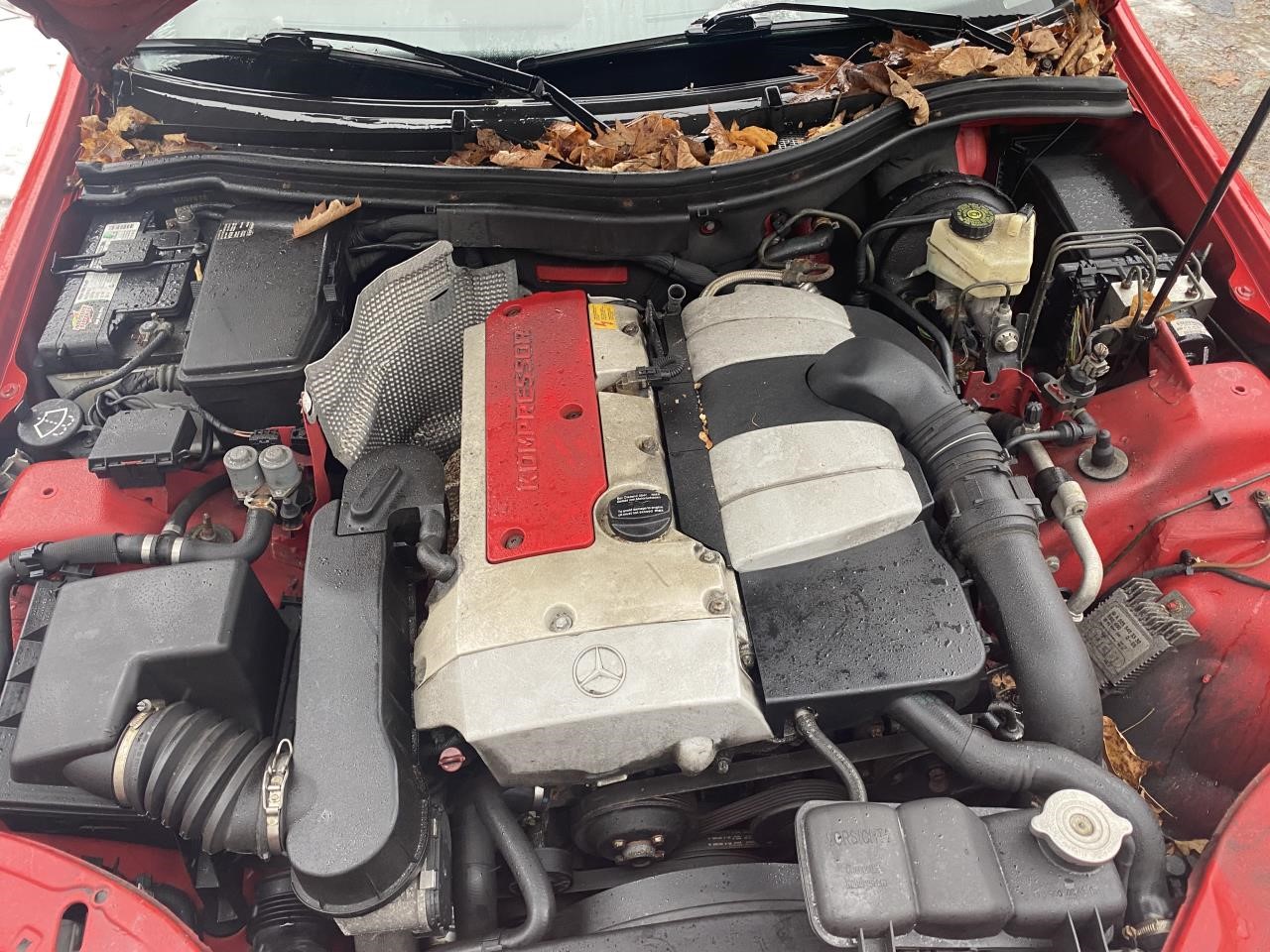 https://f005.backblazeb2.com/file/img-partshotlines-com/Inventory/NE56/Vehicle/1775_07.jpg