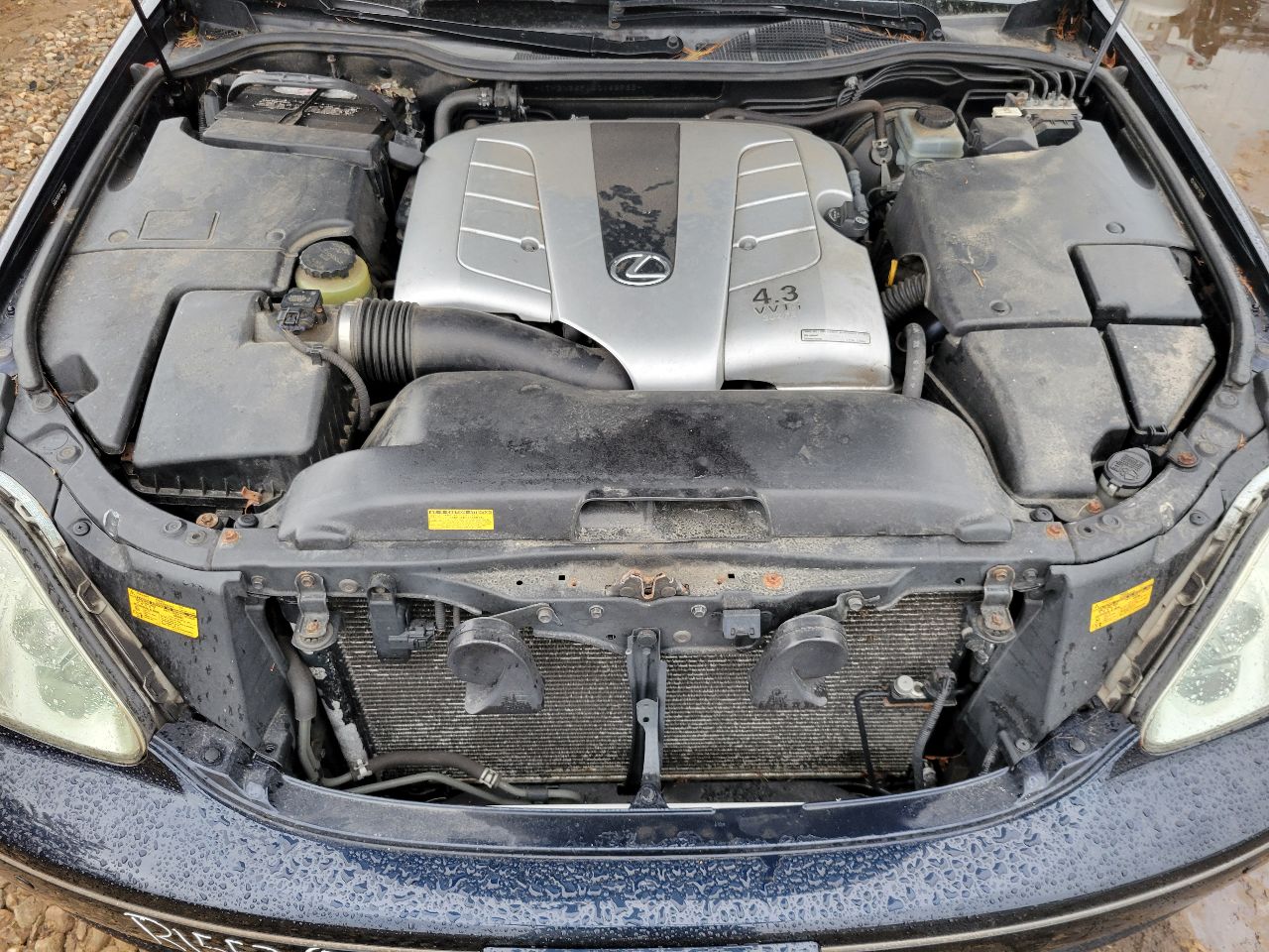 https://f005.backblazeb2.com/file/img-partshotlines-com/Inventory/NE7/Vehicle/101627_06.jpg