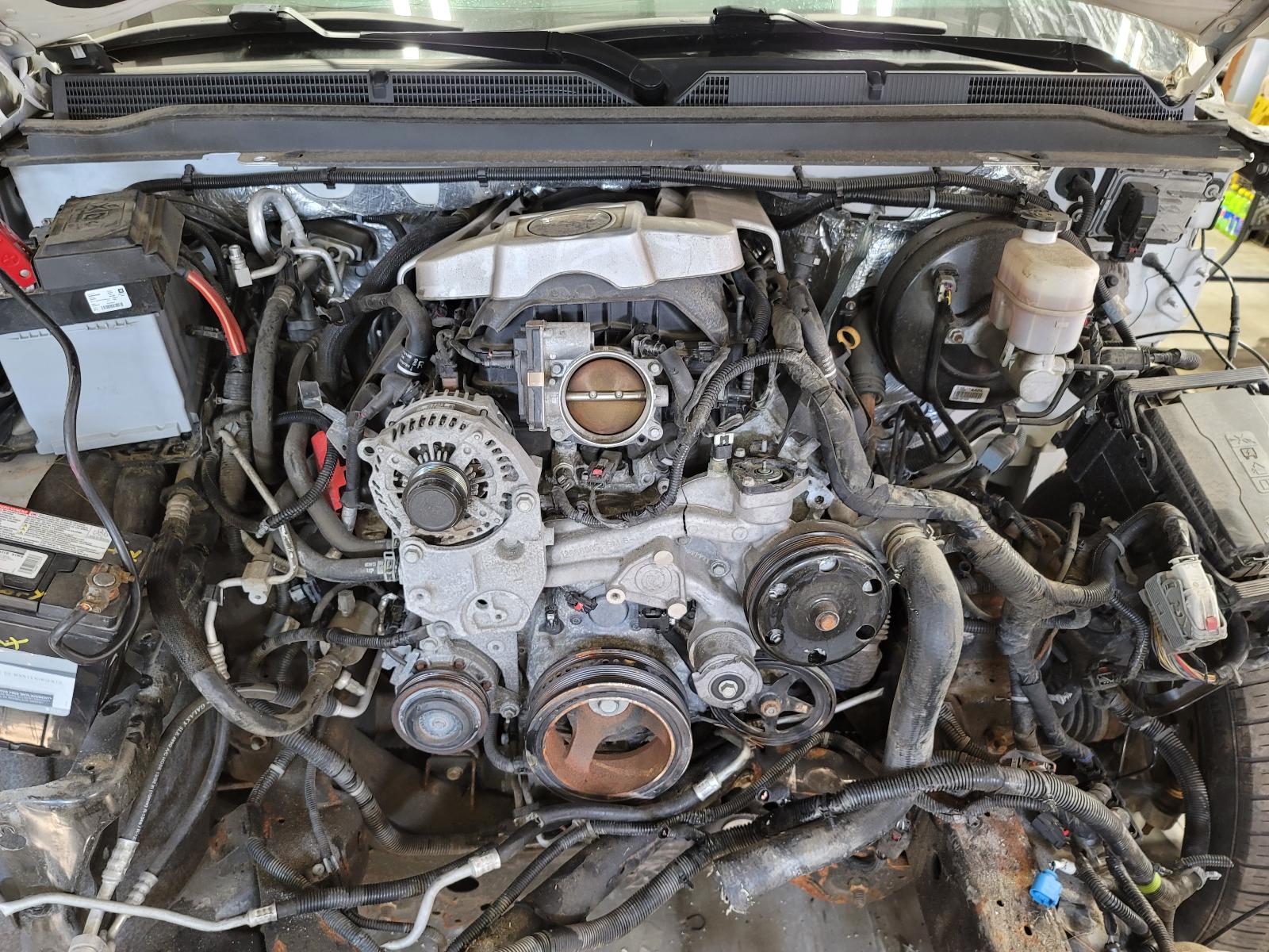 b/e/d/i/c/f/818b67a8-3c24-413c-9985-45abf537ad36.jpg