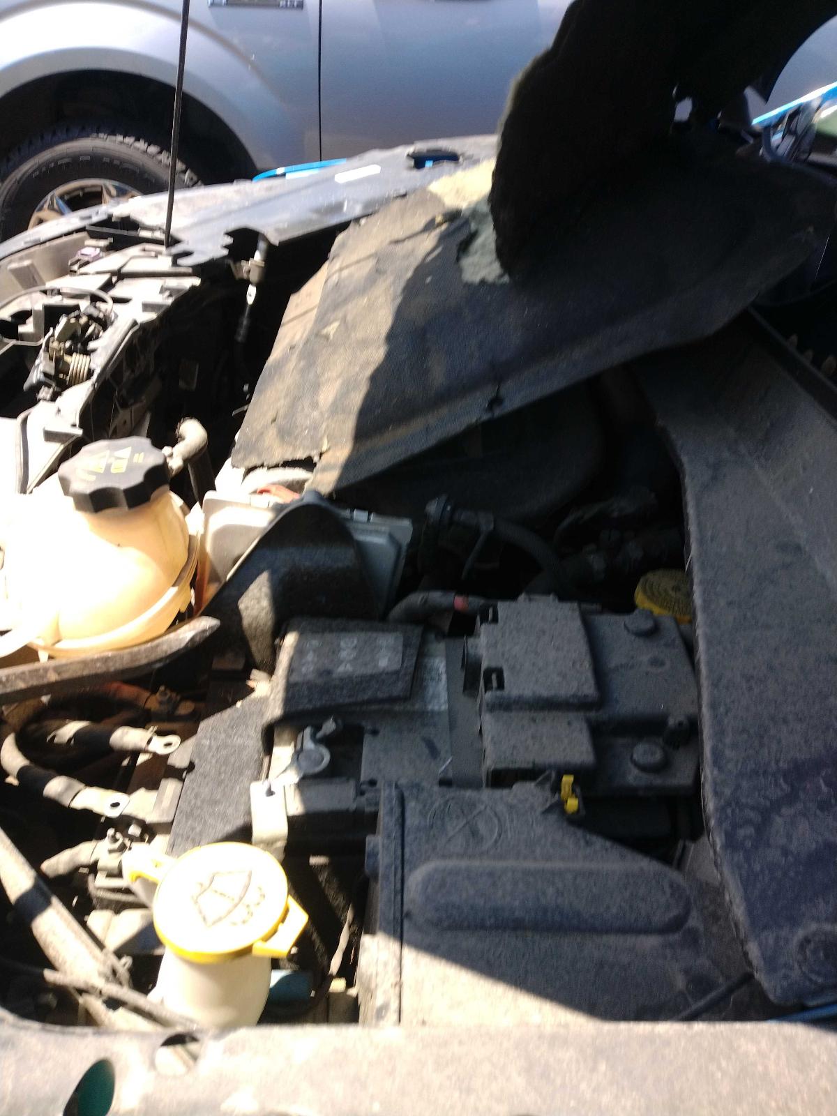 d/b/d/h/f/i/da6dd365-c068-48dd-8bea-9bbff72ac663.jpg