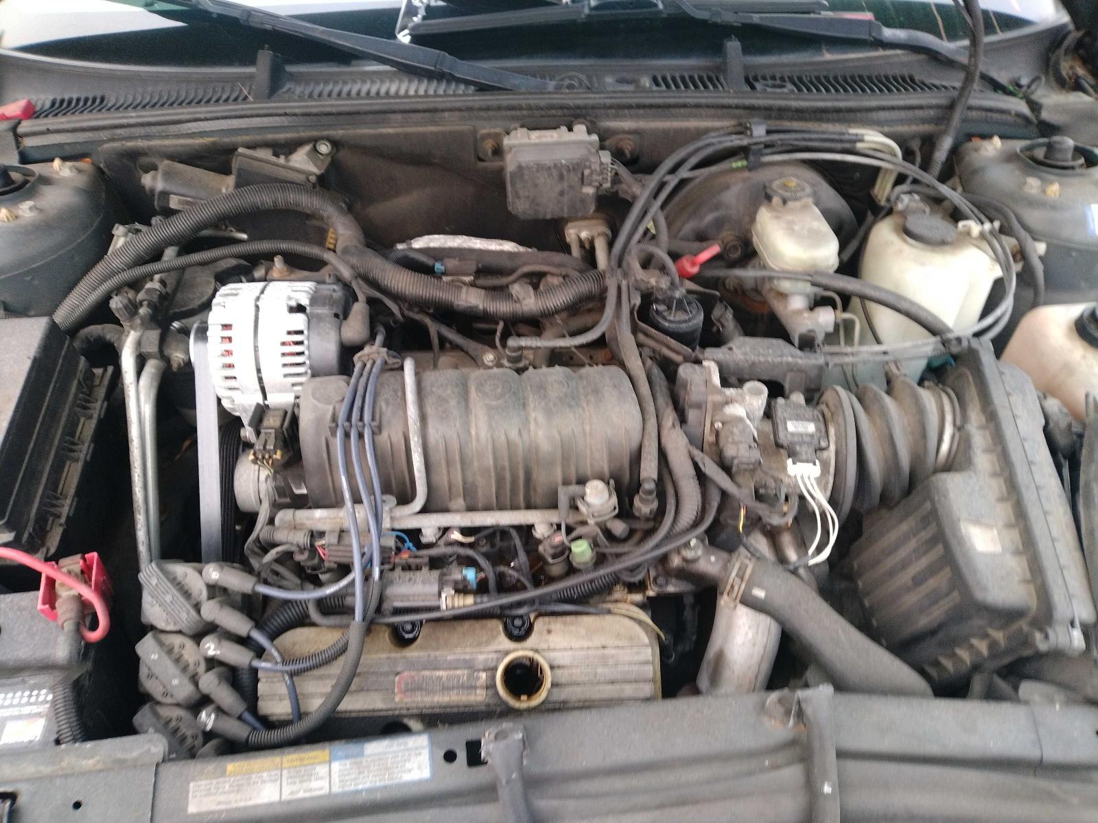 d/b/e/d/a/h/cad85058-ebc7-46da-b903-a03c27eaab3e.jpg