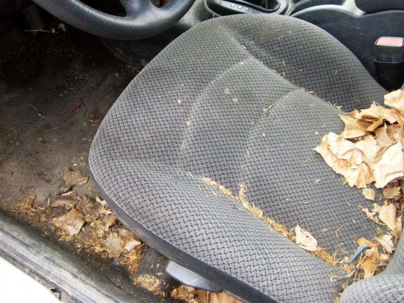 https://f005.backblazeb2.com/file/img-partshotlines-com/Inventory/OK19/Vehicle/11575_12.jpg