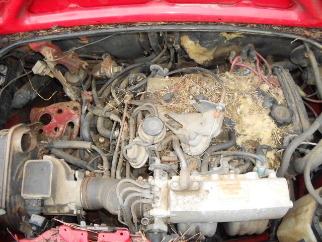 https://f005.backblazeb2.com/file/img-partshotlines-com/Inventory/OK19/Vehicle/4412_05.jpg