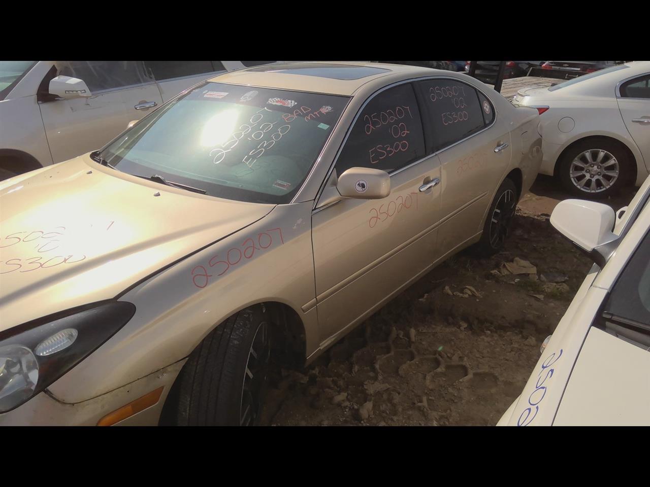 b/a/a/d/c/97700f57-d7bb-4813-9dc4-f2aa37696474.jpg