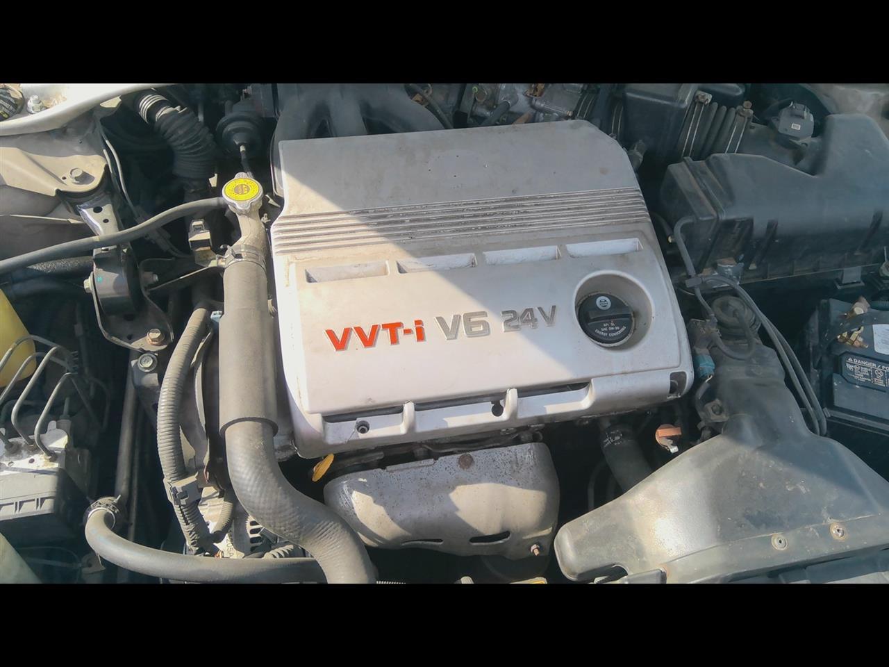 b/a/a/d/c/f2f5403e-41b4-415a-a634-9cdf1269f31f.jpg