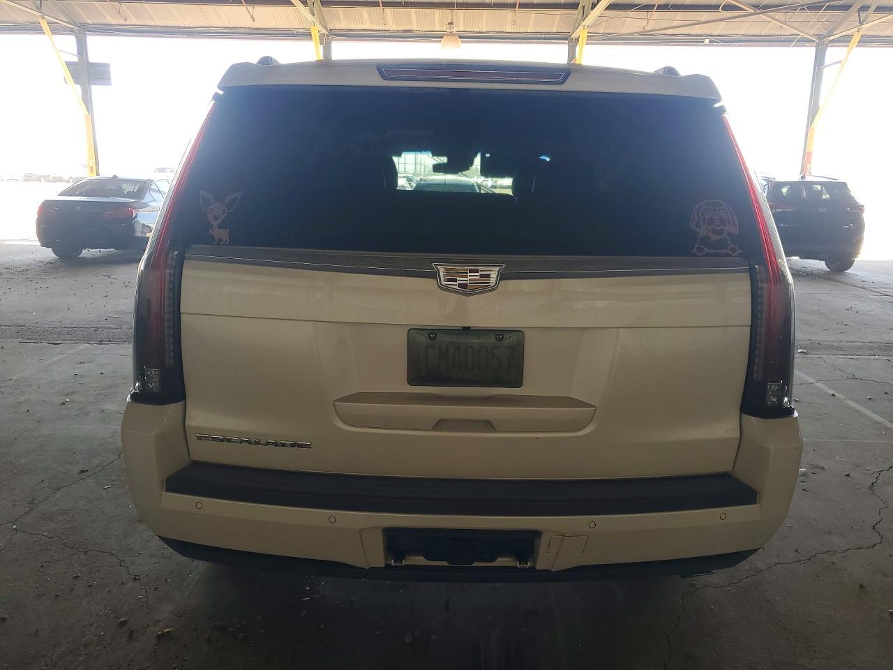 g/h/j/c/h/29ca8fef-320f-431c-89e4-09c522927a31.jpg