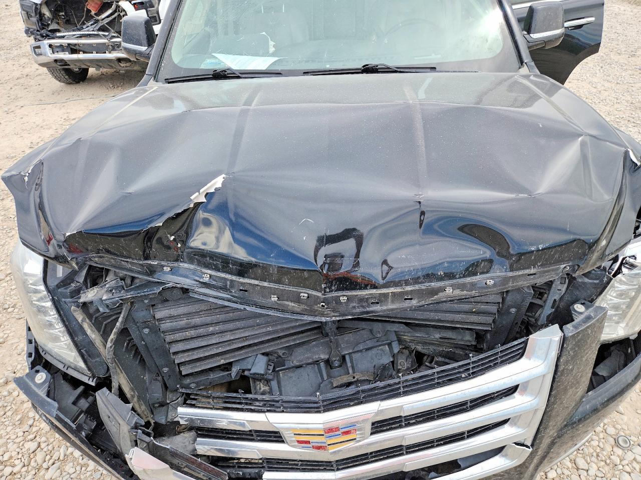 g/i/a/a/c/7f59d019-afbd-44ba-9c36-643e67060ec1.jpg