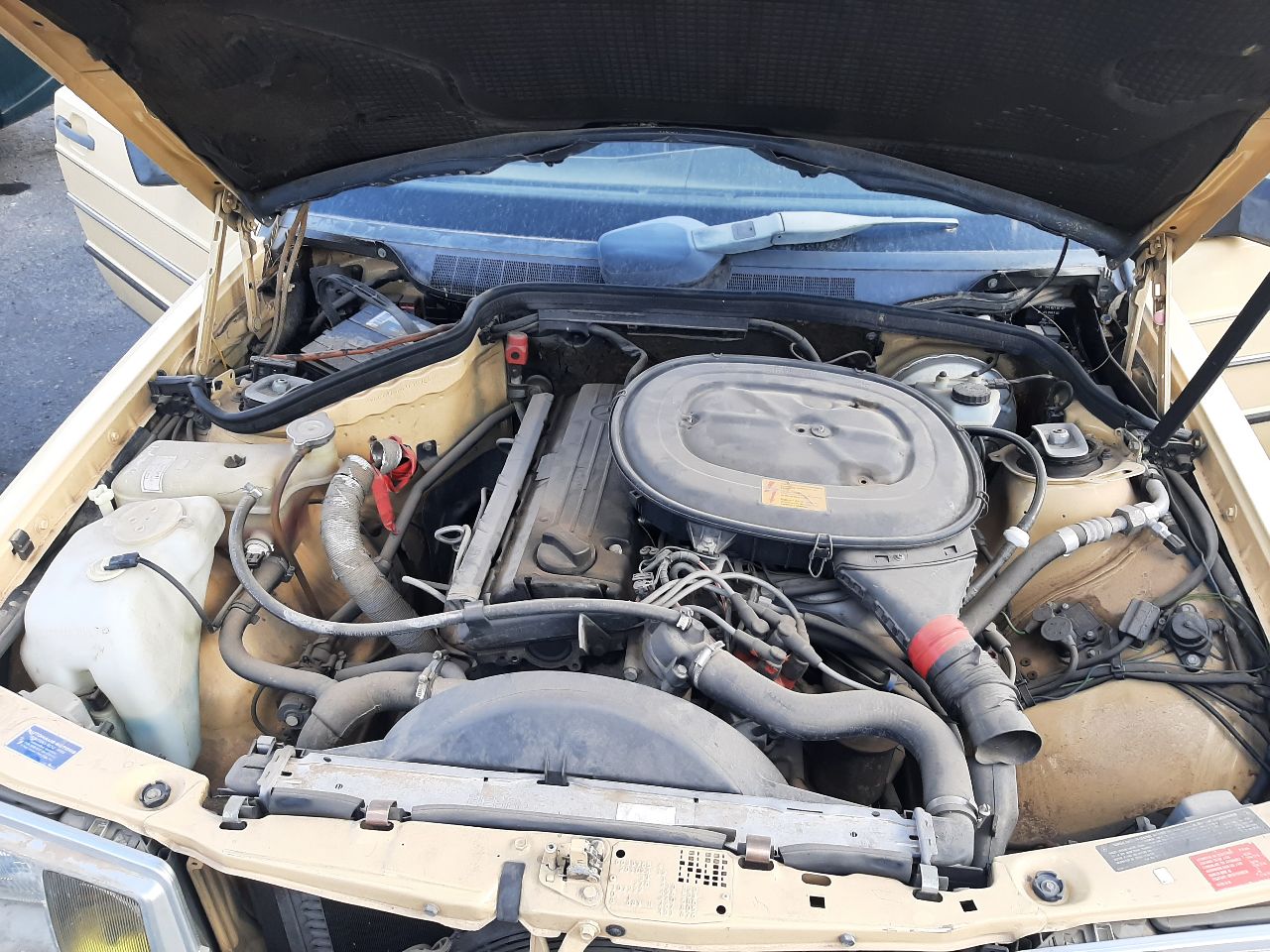 https://f005.backblazeb2.com/file/img-partshotlines-com/Inventory/SW48/Vehicle/5691_04.jpg