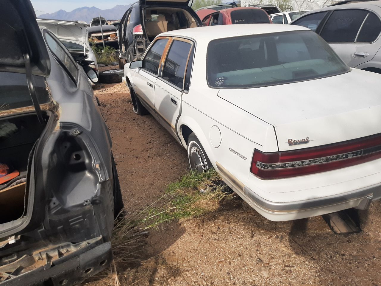 https://f005.backblazeb2.com/file/img-partshotlines-com/Inventory/SW48/Vehicle/5788_03.jpg