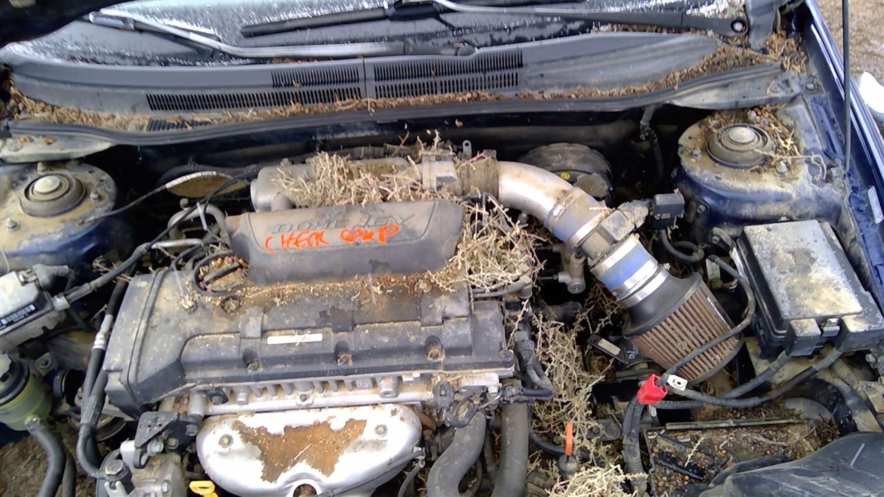 https://f005.backblazeb2.com/file/img-partshotlines-com/Inventory/SW52/Vehicle/18971_05.jpg