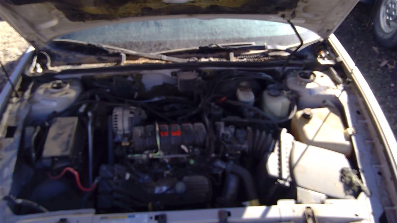 https://f005.backblazeb2.com/file/img-partshotlines-com/Inventory/SW52/Vehicle/19088_05.jpg