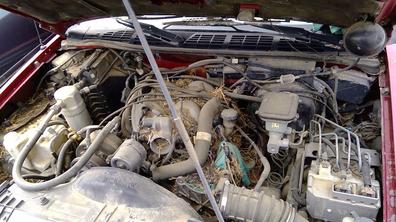 https://f005.backblazeb2.com/file/img-partshotlines-com/Inventory/SW52/Vehicle/19194_05.jpg