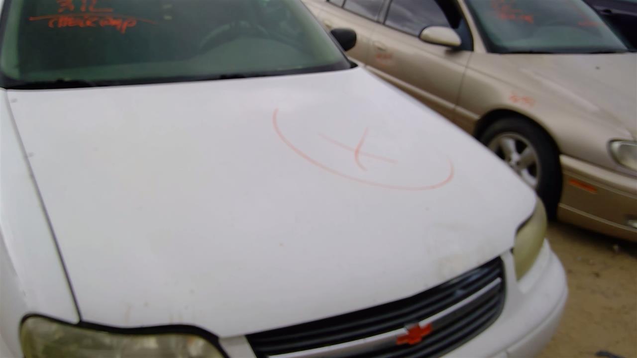https://f005.backblazeb2.com/file/img-partshotlines-com/Inventory/SW52/Vehicle/19441_08.jpg