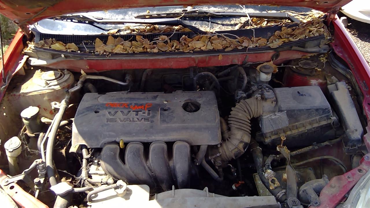 https://f005.backblazeb2.com/file/img-partshotlines-com/Inventory/SW52/Vehicle/19584_05.jpg