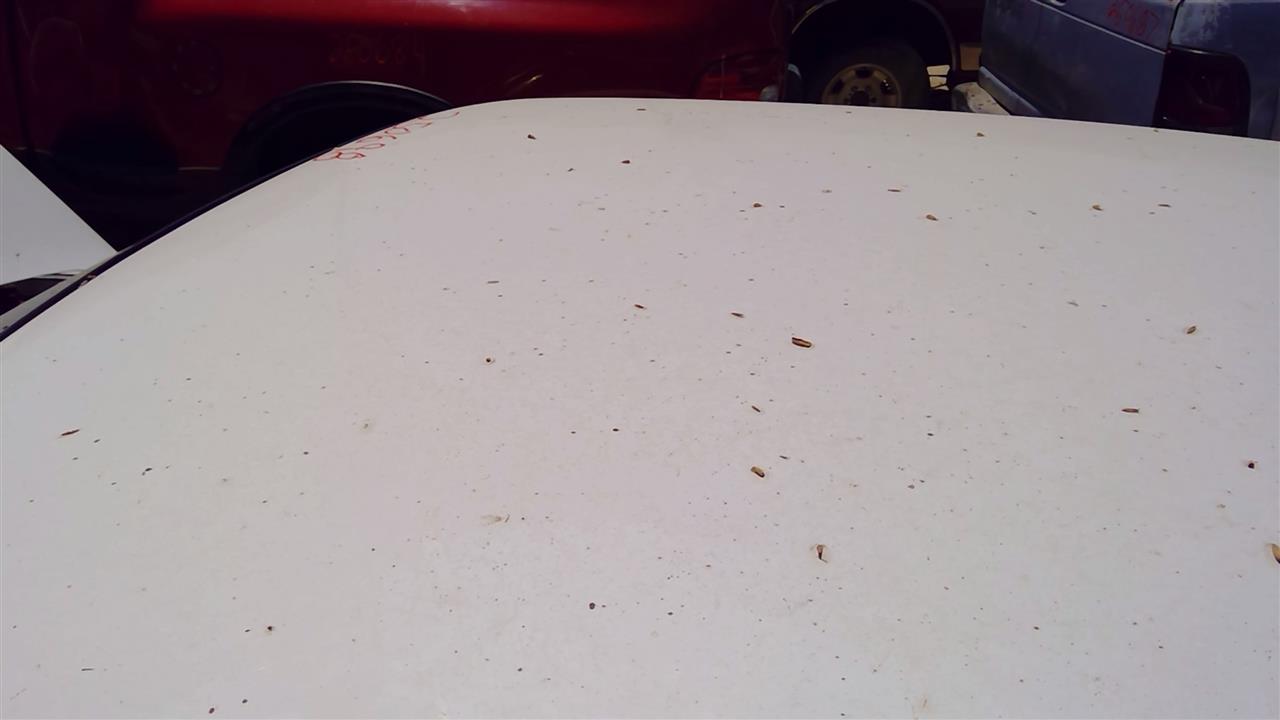 https://f005.backblazeb2.com/file/img-partshotlines-com/Inventory/SW52/Vehicle/19688_04.jpg