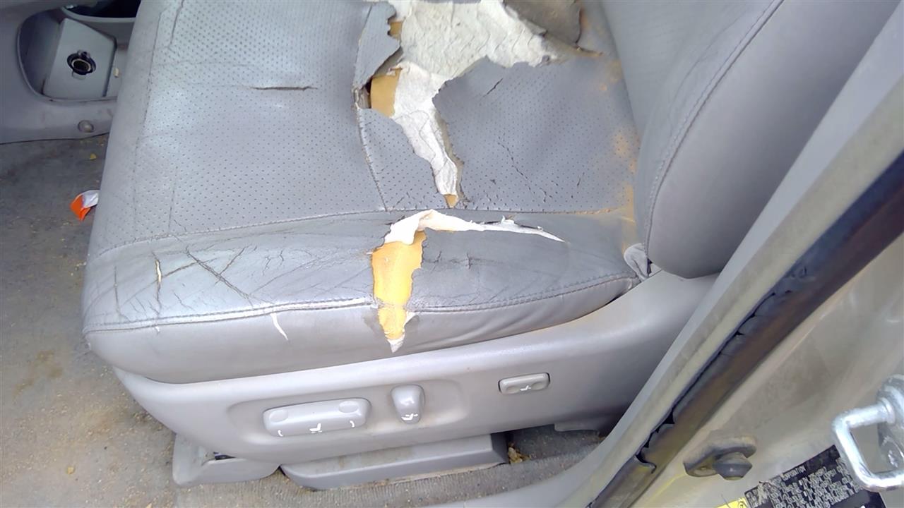 https://f005.backblazeb2.com/file/img-partshotlines-com/Inventory/SW52/Vehicle/19763_03.jpg