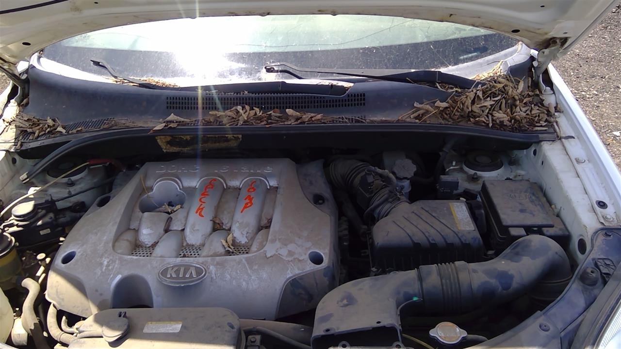 https://f005.backblazeb2.com/file/img-partshotlines-com/Inventory/SW52/Vehicle/19800_05.jpg