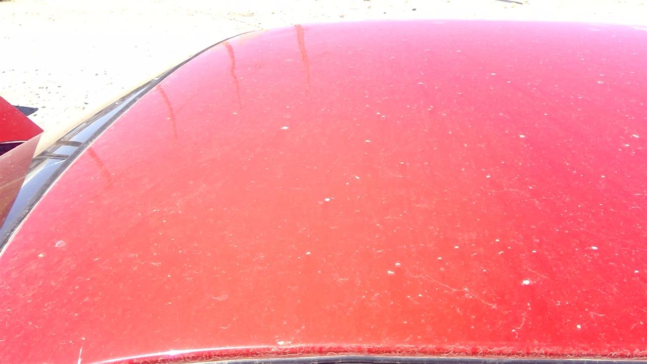https://f005.backblazeb2.com/file/img-partshotlines-com/Inventory/SW52/Vehicle/19931_04.jpg