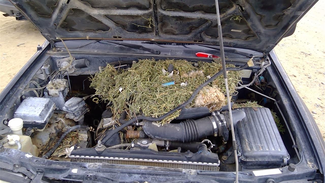 https://f005.backblazeb2.com/file/img-partshotlines-com/Inventory/SW52/Vehicle/20469_05.jpg