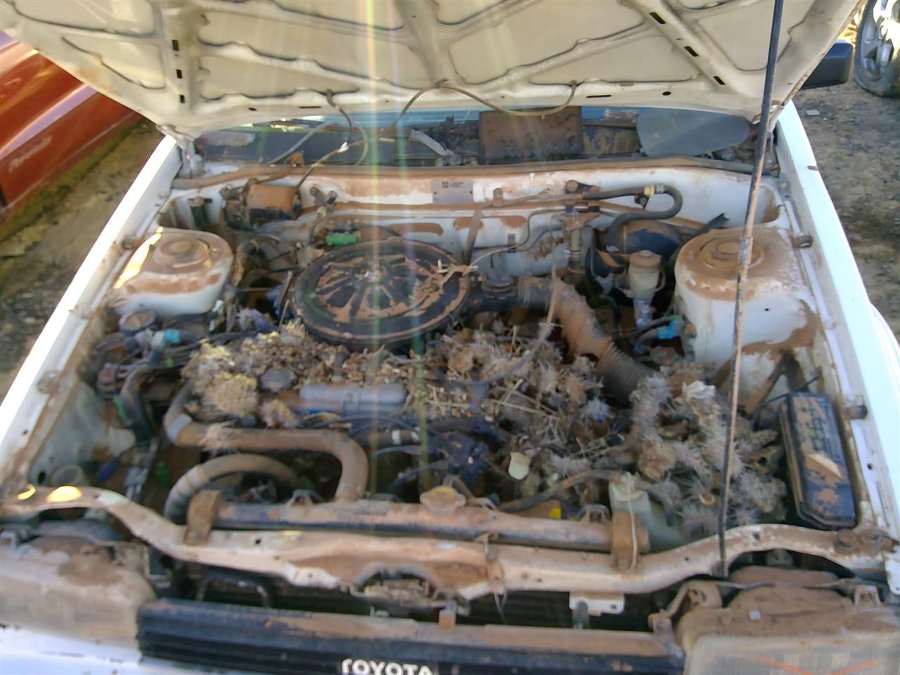https://f005.backblazeb2.com/file/img-partshotlines-com/Inventory/SW52/Vehicle/20537_04.jpg