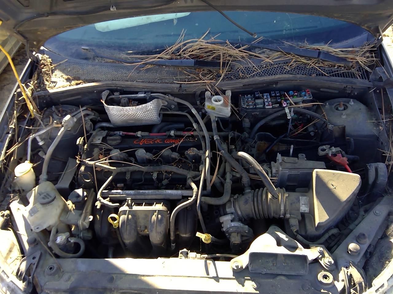 https://f005.backblazeb2.com/file/img-partshotlines-com/Inventory/SW52/Vehicle/20746_05.jpg