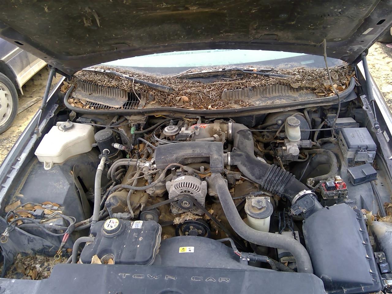 https://f005.backblazeb2.com/file/img-partshotlines-com/Inventory/SW52/Vehicle/20868_05.jpg