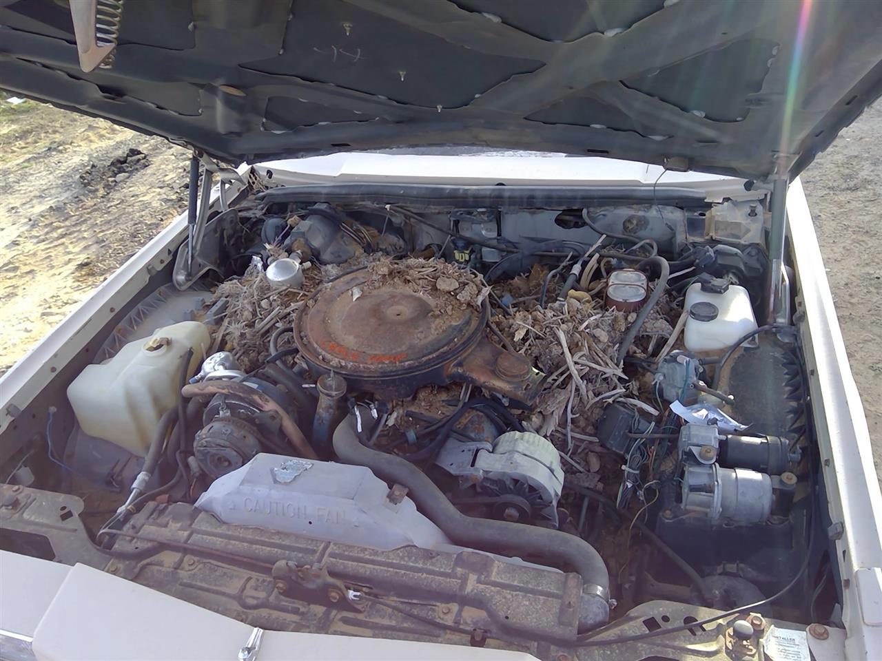 https://f005.backblazeb2.com/file/img-partshotlines-com/Inventory/SW52/Vehicle/20918_05.jpg