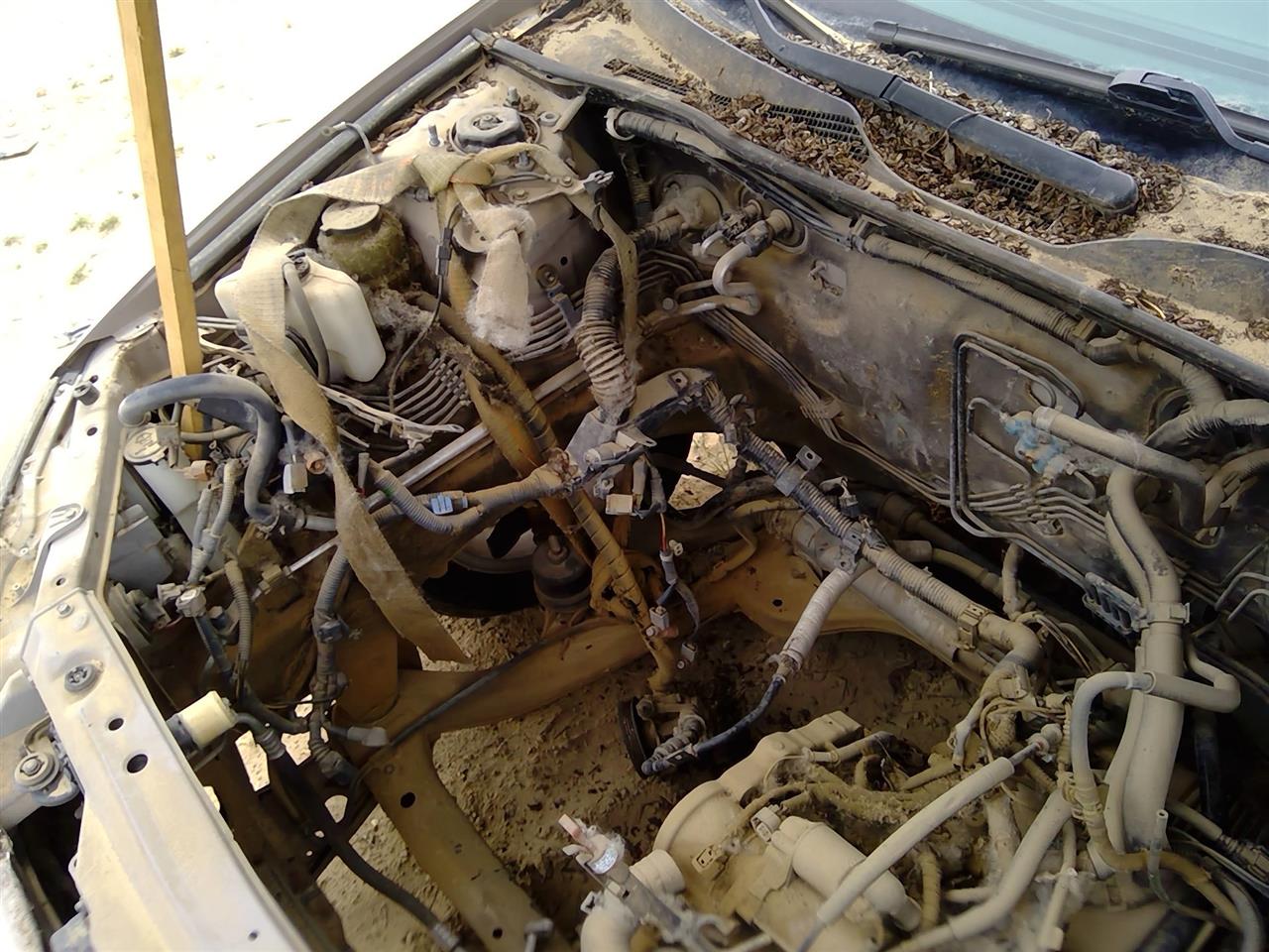 https://f005.backblazeb2.com/file/img-partshotlines-com/Inventory/SW52/Vehicle/21099_08.jpg