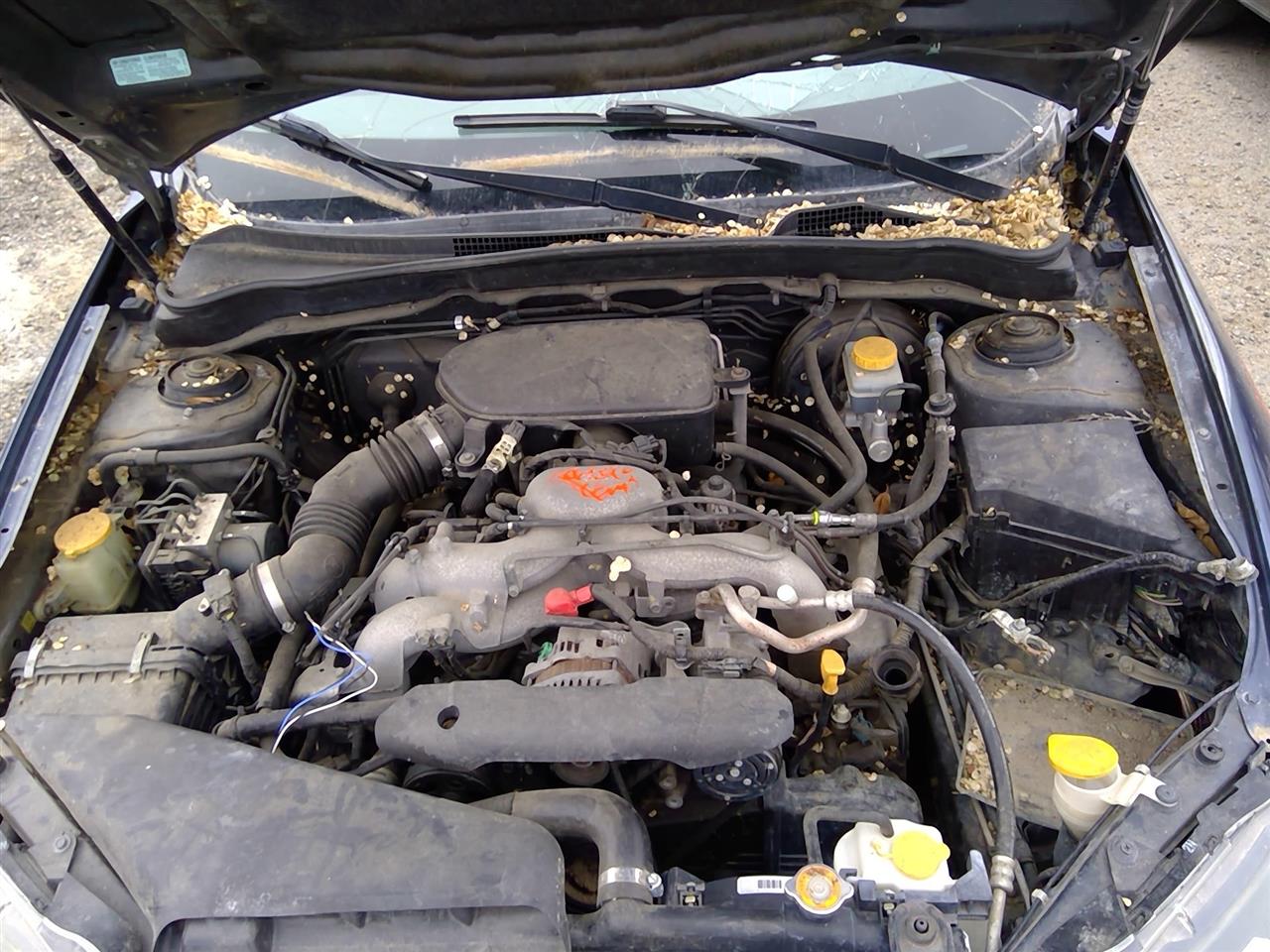 https://f005.backblazeb2.com/file/img-partshotlines-com/Inventory/SW52/Vehicle/21193_05.jpg