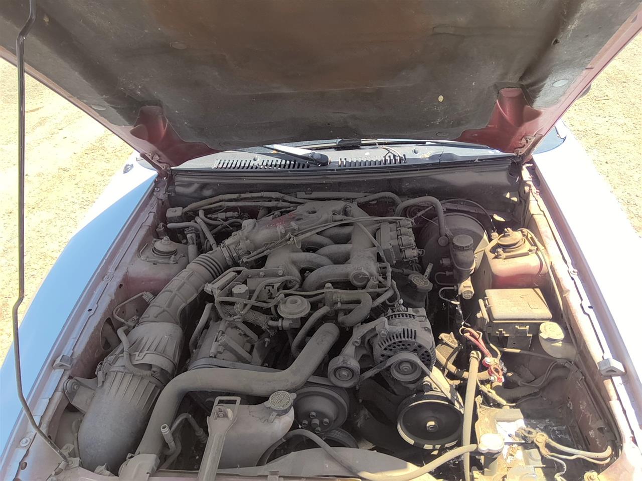 https://f005.backblazeb2.com/file/img-partshotlines-com/Inventory/SW52/Vehicle/21370_05.jpg