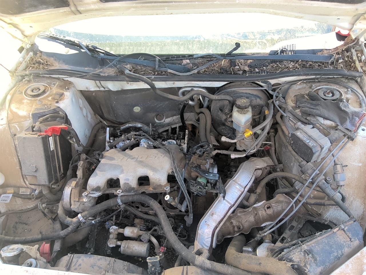 https://f005.backblazeb2.com/file/img-partshotlines-com/Inventory/SW52/Vehicle/21390_05.jpg