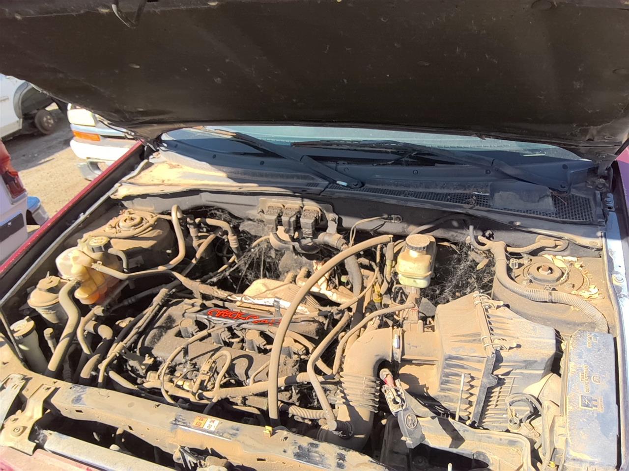 https://f005.backblazeb2.com/file/img-partshotlines-com/Inventory/SW52/Vehicle/21463_05.jpg