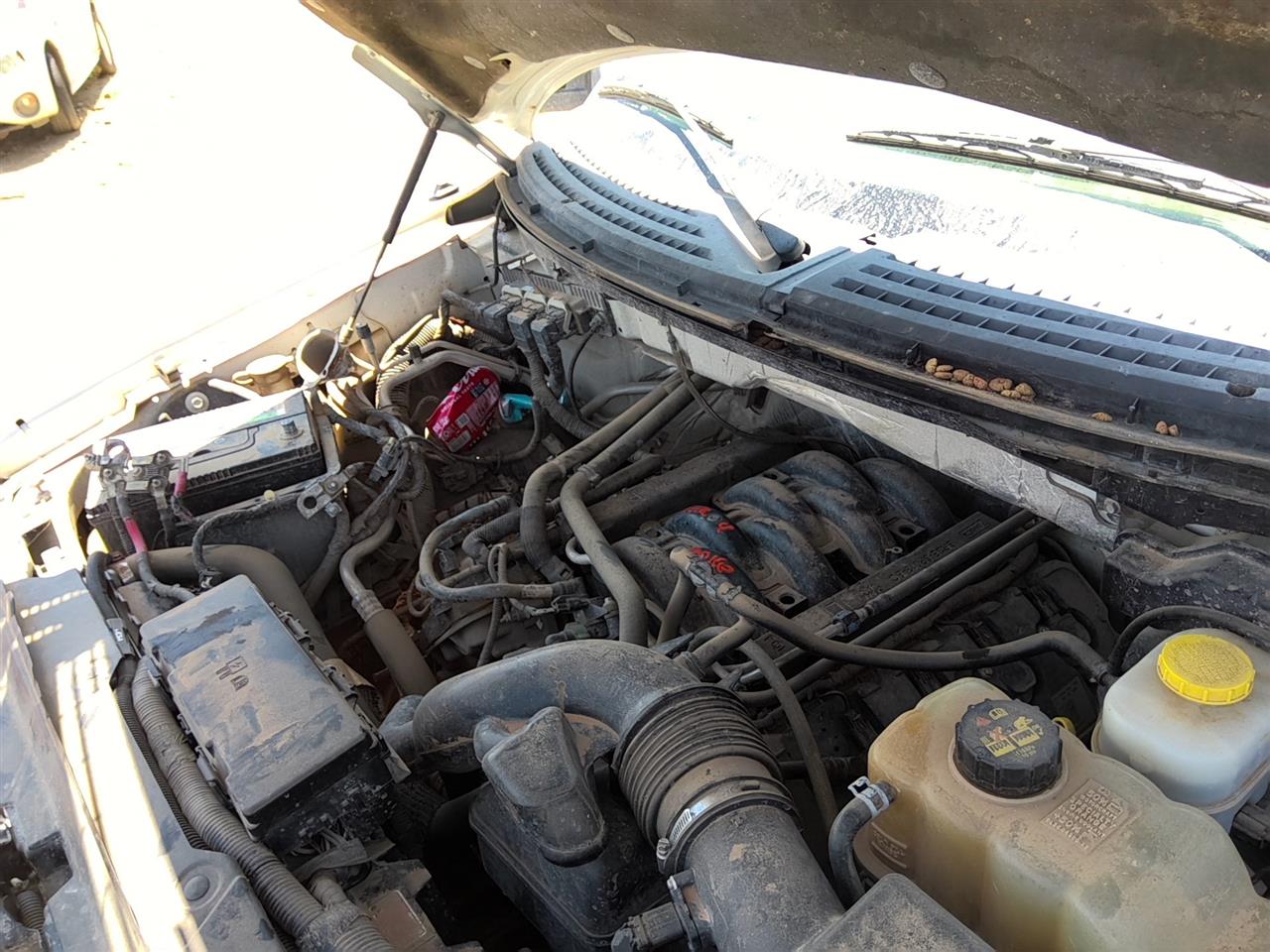https://f005.backblazeb2.com/file/img-partshotlines-com/Inventory/SW52/Vehicle/21643_05.jpg