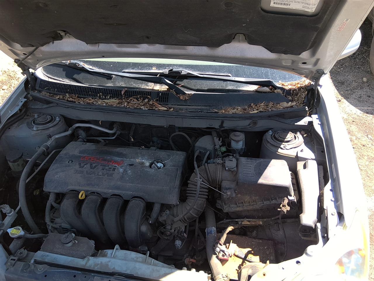 https://f005.backblazeb2.com/file/img-partshotlines-com/Inventory/SW52/Vehicle/21745_05.jpg