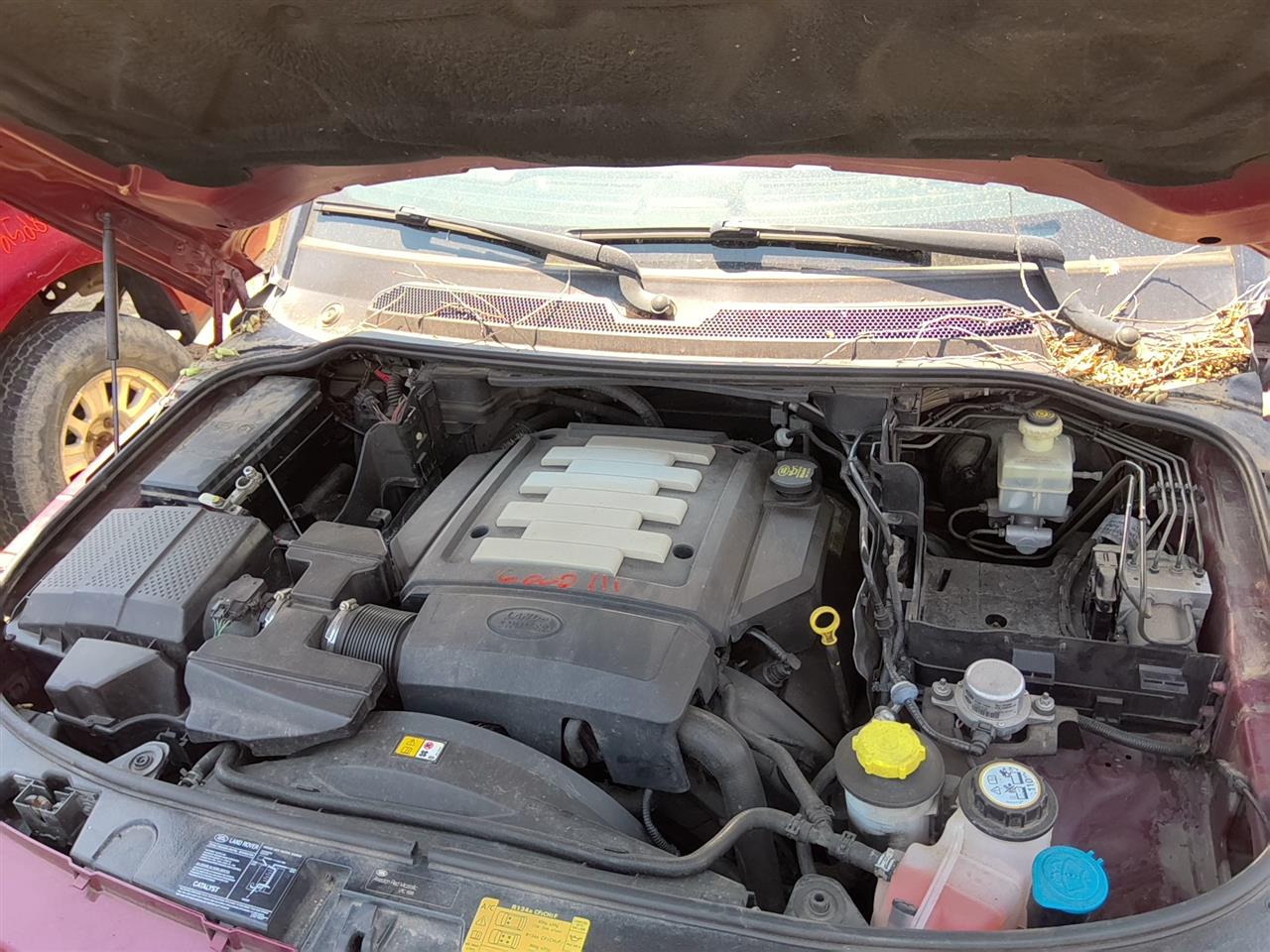 https://f005.backblazeb2.com/file/img-partshotlines-com/Inventory/SW52/Vehicle/21885_05.jpg