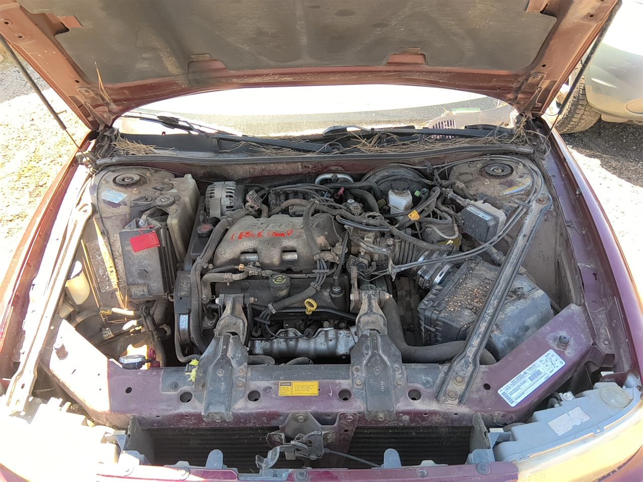 https://f005.backblazeb2.com/file/img-partshotlines-com/Inventory/SW52/Vehicle/21939_05.jpg