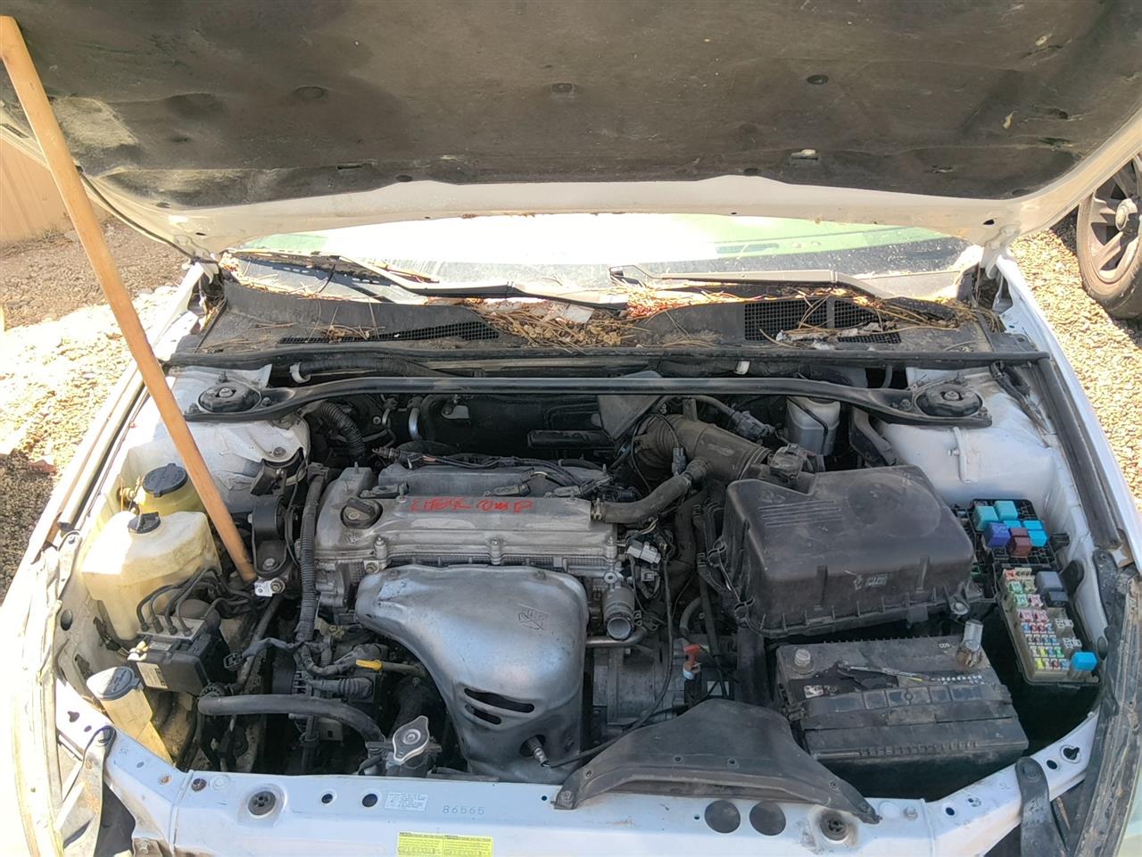 https://f005.backblazeb2.com/file/img-partshotlines-com/Inventory/SW52/Vehicle/22006_05.jpg
