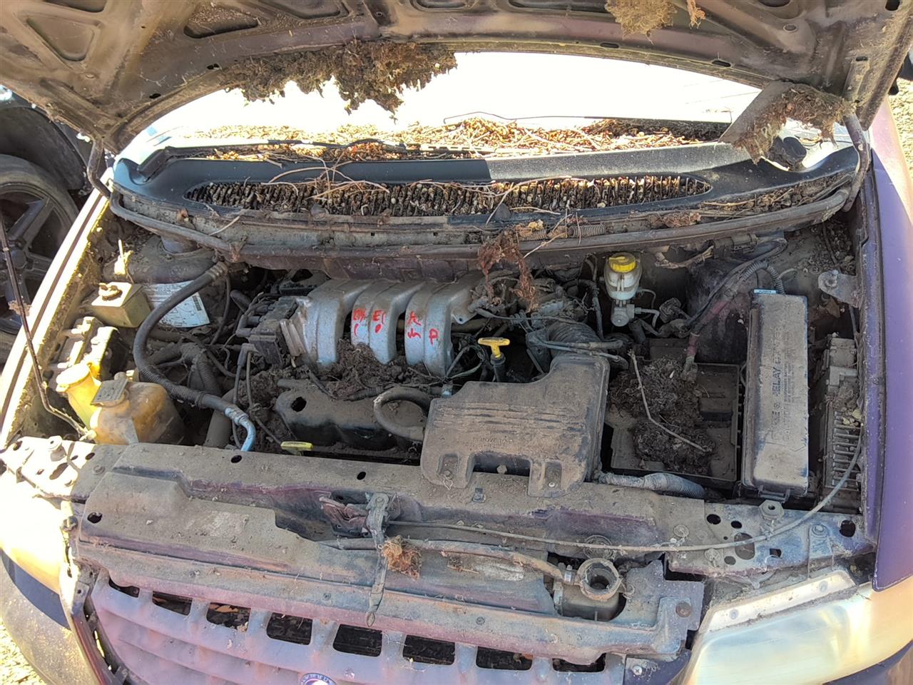 https://f005.backblazeb2.com/file/img-partshotlines-com/Inventory/SW52/Vehicle/22054_05.jpg