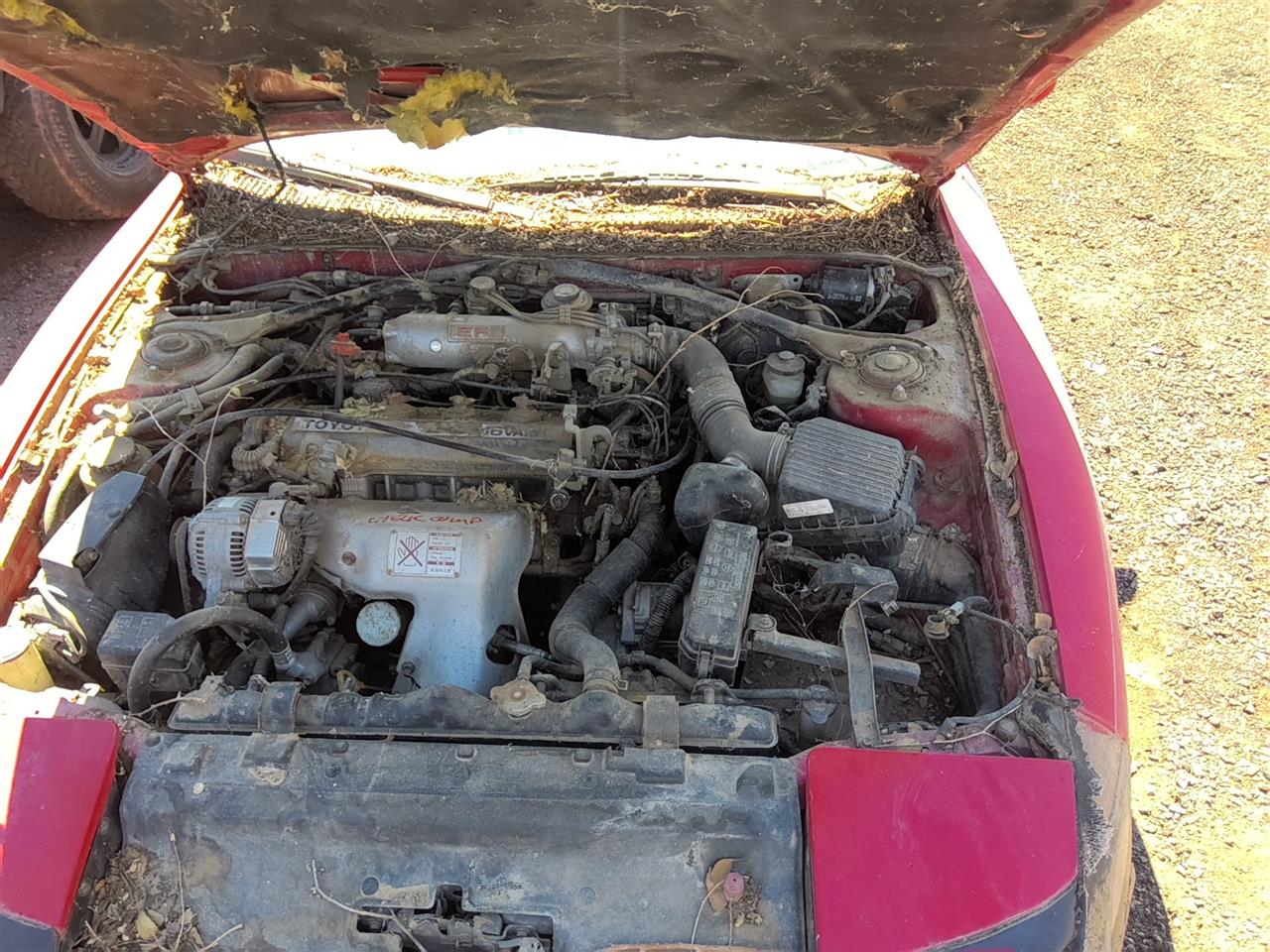 https://f005.backblazeb2.com/file/img-partshotlines-com/Inventory/SW52/Vehicle/22055_05.jpg