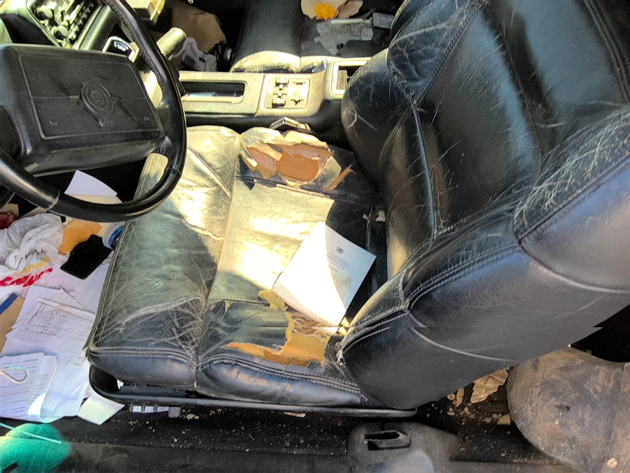 https://f005.backblazeb2.com/file/img-partshotlines-com/Inventory/SW52/Vehicle/22098_03.jpg