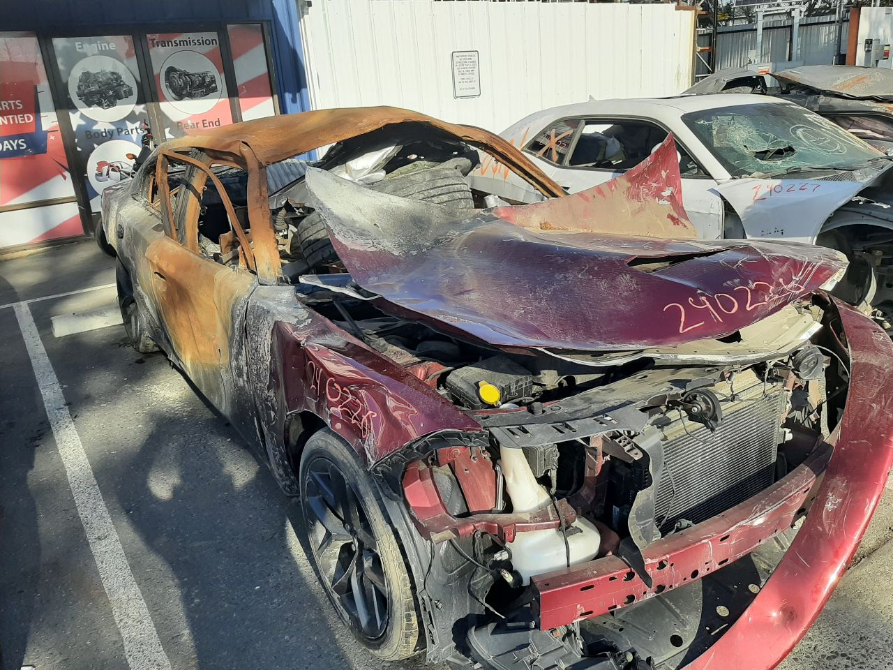Vehicle/1294_02.jpg