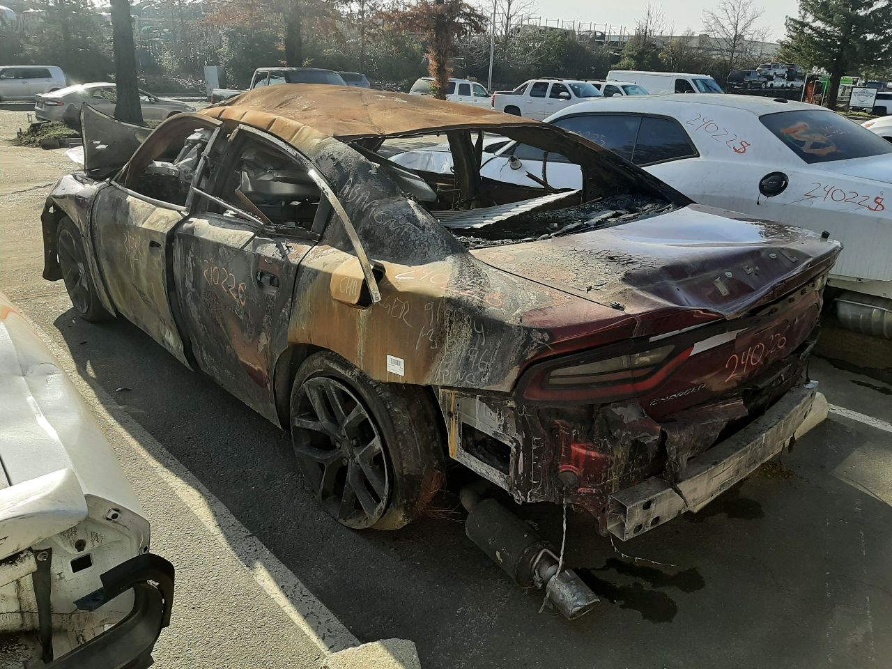 Vehicle/1294_07.jpg