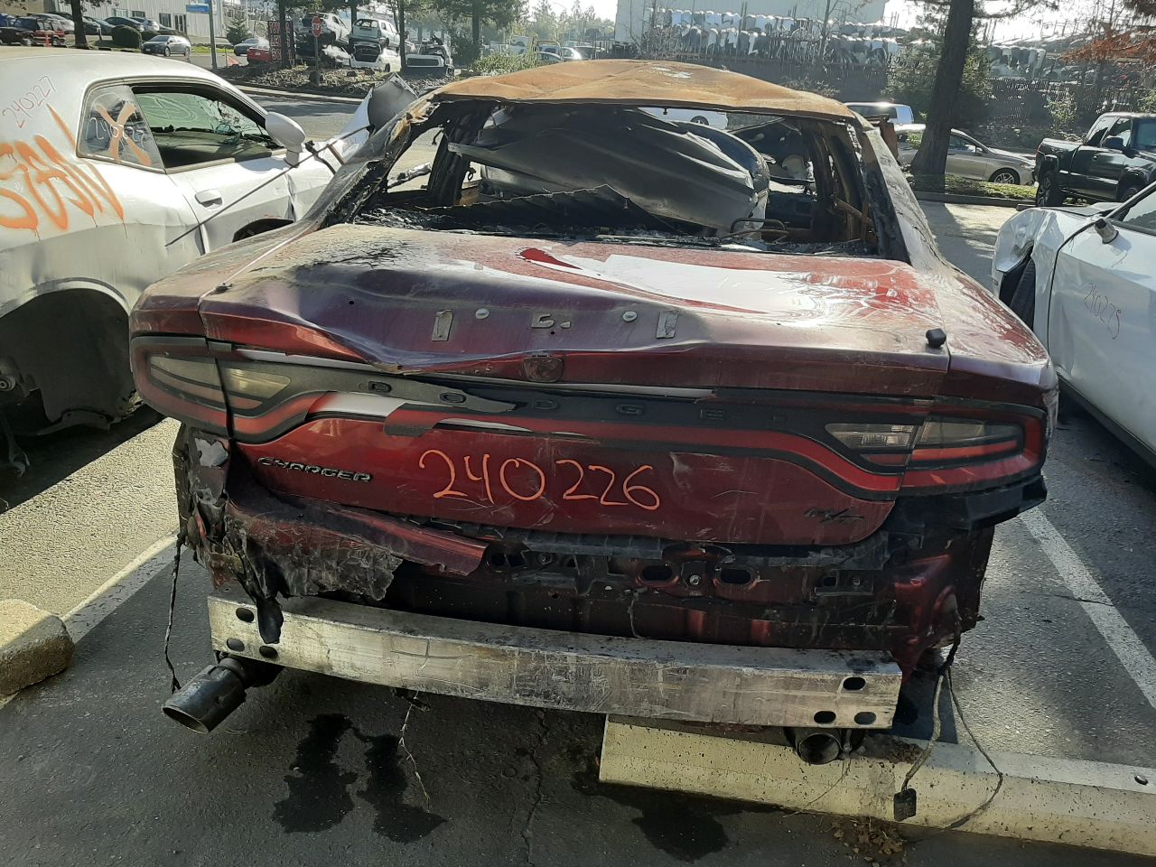 Vehicle/1294_08.jpg